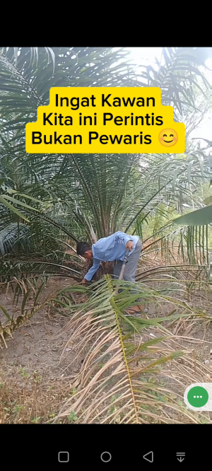Perintis Bukan Pewaris #Motivasi #Fyp #Viral #Petanisawit #kelapasawit 
