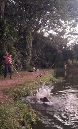 super besar, lihat sampai habis 
#mancing #RCTIPlus #fyp 