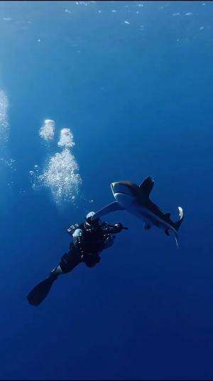 motivasi untuk hari ini #laut 