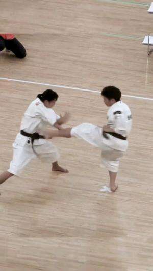 Shorinji Kempo Embu #shorinjikempo #martialart #beladiri 