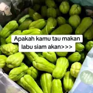 #edukasi #fyp #fypシ゚viral #trending #foryou #RCTIPlus #HOTrctiplus 