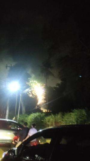 kembang api di awal tahun 🎷