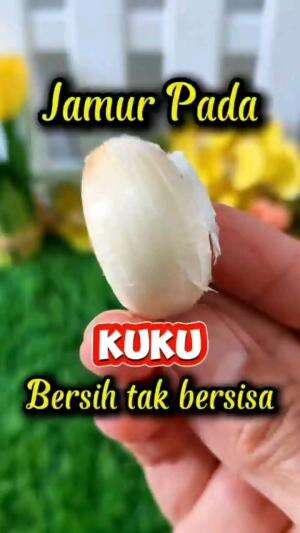 JAMUR PADA KUKU BERSIH TAK TERSISA

#tipsandtrik #tips #trik #tutorial #kreatif #hiburan #inspirasi #inspiratif 