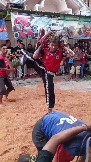  TURONGGO MULYO #turonggomulyo  #jaranankidal  #fyp  #fypシ  #fypシ゚viral  #kalapan  #kidalanmalang  #rajasolah  #jarananmalangan 