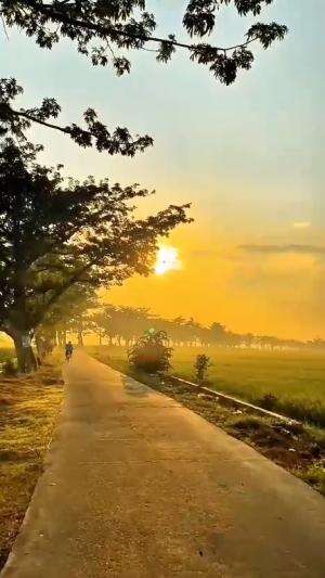 pagi yang indah 
 #pagiyangcerah  #alamindah  #semangatpagi 