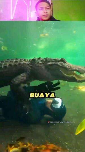 BUAYA


#kangdenireal #RCTISuperapps #RCTIPlus #HOTrctiplus #hiburan
