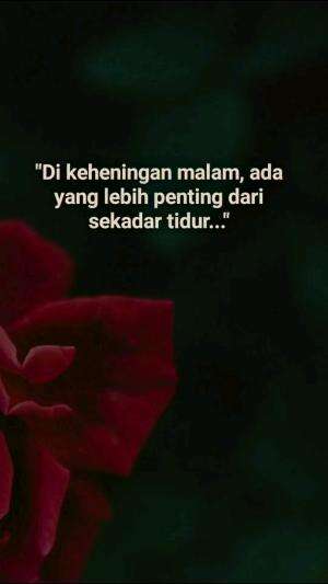 Di tengah panasnya siang, jangan lupakan ketenangan hati yang hanya datang dari Allah.
#QuotesIslami #RenunganSiang #fyp 
