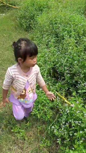anak kecil happy main di kebun dengan riang #anak #bermain  #HappyAja 