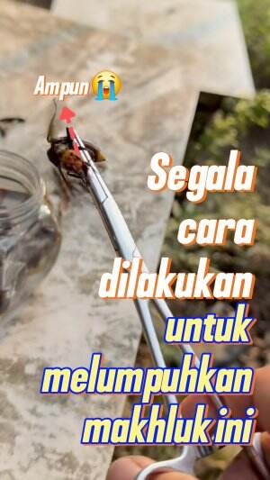 Awas serangan datang 
 #shortplus 
#Viral 