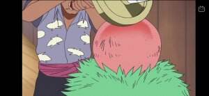 Zoro $ Sanji
 #onepiece 