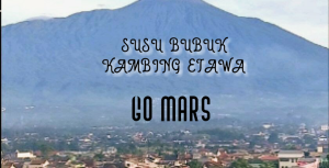 Susu bubuk kambimg etawa