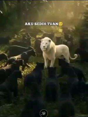  #Inspirasi 