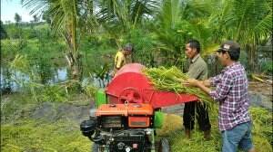 panen  
 #Anak muda jadi petani dong #RCTIPlus  #fypシ 