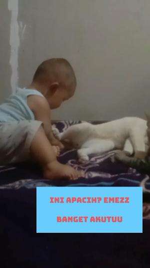 Lucu banget !
 #kucinglucu  #lucubanget  #videolucu 
