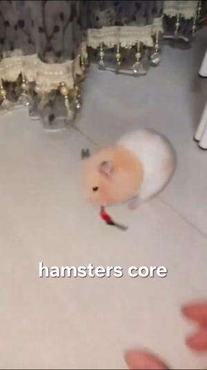 0% kemampuan bertahan hidup.