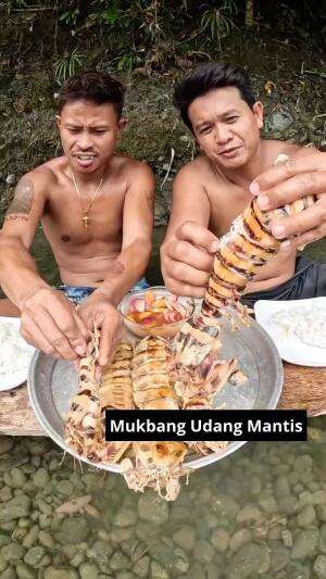 Mukbang Udang Mantis #Mukbang #yang suka udang merapat!! #udang #mantis #RCTIPlus 