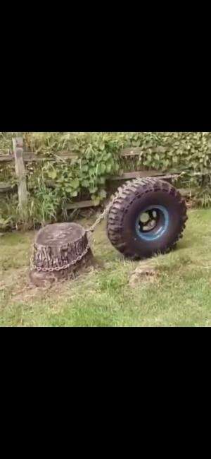 Cara menghilangkan tunggul pohon menggunakan fisika.