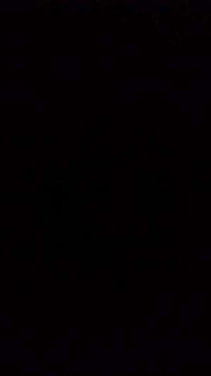 nasgor alaaa rumahan