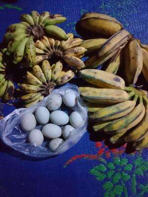 kehidupan keadaan sehari hari di rumah salah satu kaum lansia di kampung kami