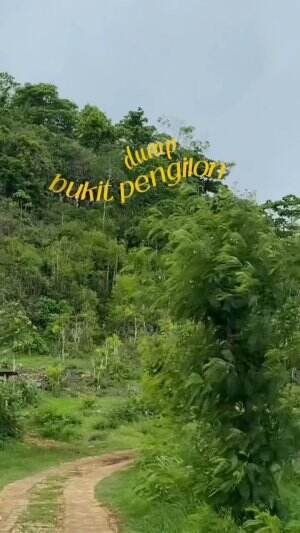 Kangen healing 