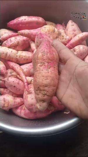 Hasil Panen Mini Garden guys
#shorts #video #Viral 