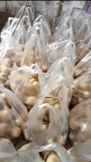 BARU SELESAI MEMBUNGKUS 
 #lumayanpenat
 #alhamdulillah 