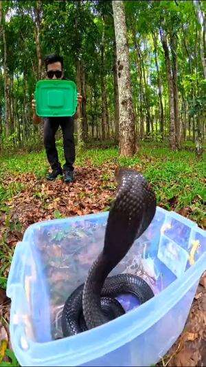 kira2 mau ngapain ya?
#short #shortplus #shorts 