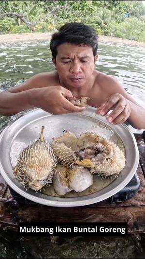 Mukbang Ikan Buntal Goreng #mukbang #ikangoreng #dengancitarasagurihdanpedasjugaharumdarikemangi #kuliner #RCTIPlus 