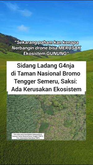 Jadi biar nggak ketauan gitu yaa? 🤭💸