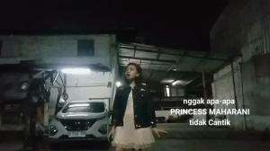 Introduction PRINCESS MAHARANI DKI Jakarta Freelance 