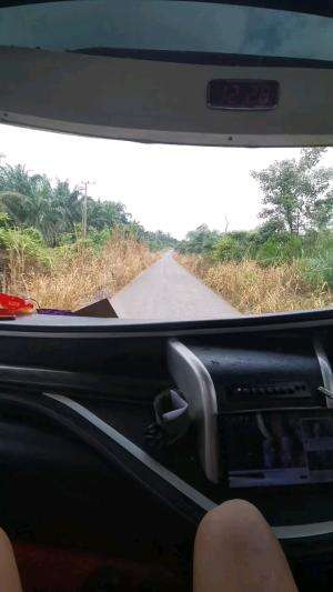 bus masuk kebun sawit