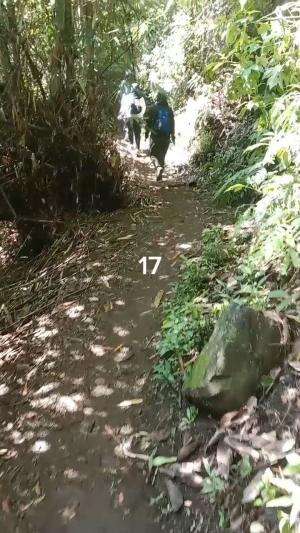 Tracking Air Terjun Coban Srikandi Desa Benjor Kab. Malang Jatim Part17 #tranding  #malangjatim  #airterjun 