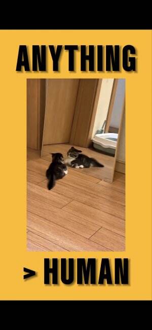 Siapa ini? 😾
#RCTIPlus #kucing #lucu #viral #fyp #HOTrctiplus #RCTIoke 