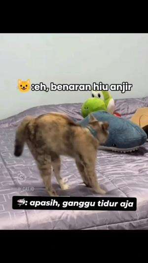 Hiu bukan hiu?? bukan 🗿🐒