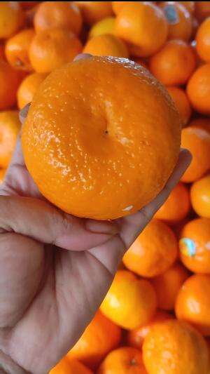 Jeruk mandarin #buah #freshfruits 