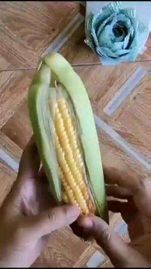 AYO KITA BUAT APA YA DARI JAGUNG

#tipsandtrik #tips #trik #tutorial #kreatif #hiburan #inspirasi #inspiratif 