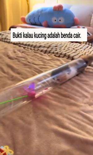 Bukti kalau kucing adalah benda cair. 😂