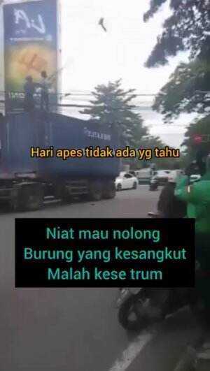 Niatnya mau menolong, malah jadi yg butuh pertolongan.