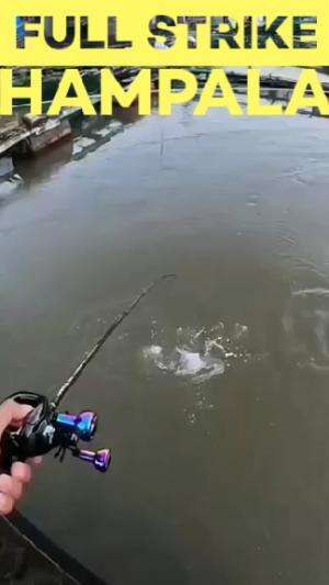 ternyata banyak hampala nya disini 
#RCTIPlus  #HOTrctiplus  #rcti  #casting  #mancing