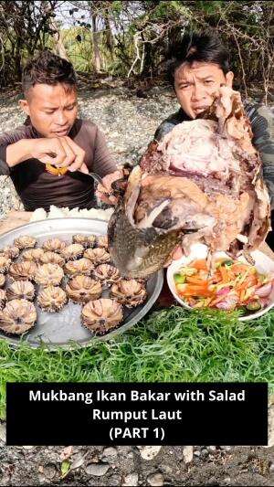 Mukbang Ikan Bakar with Salad Rumput Laut
(PART 1) #Mukbang #ikanbakar #onlineauditionmci8anitadyanimalanggrilledsalmonwithmashedpotatoandmu