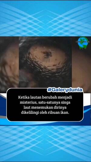Saat pemburu diburu!

Anda mungkin berpikir lonfish, dengan duri berbisa dan keterampilan berburu tersembunyi, apakah tak terhentikan-tetapi