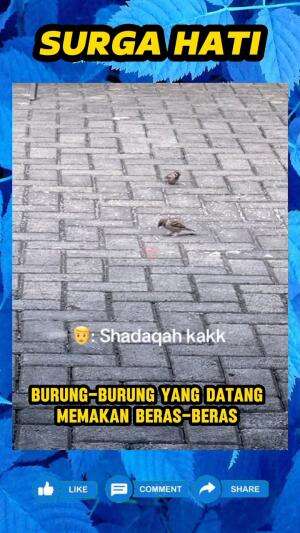 Wanita ini akhirnya tau, alasan sang ayah selalu taburkan beras di halaman rumah mereka setiap pagi.