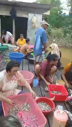 MUSIM IKAN SELUWANG 
 #beginicaranyanyariikanseluwang
 #rameramenyarinya
 #paslagimusimya
