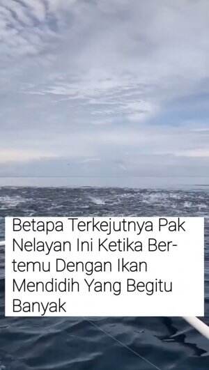 Nelayan ini terkejut ketika melihat rombongan ikan yg mendidih.