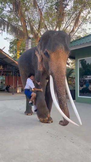 Ini luar biasa