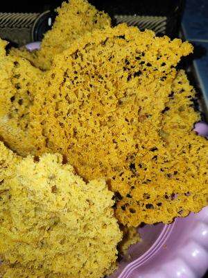 kalo punya sisa rebusan ungkep ayam jangan dibuang yaa, dibikin ini ajaa

bocil pasti lahap banget makannya.   #kremesayam   #masak 