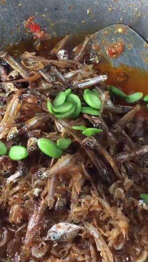 sambal terii 🐬🐠