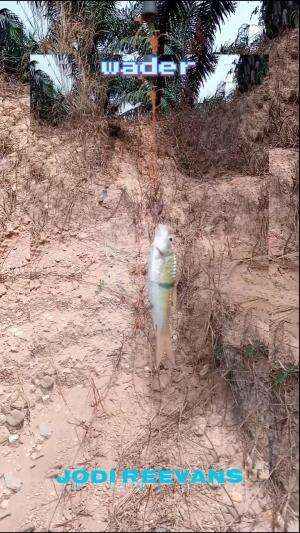 #test mancing di x Riau