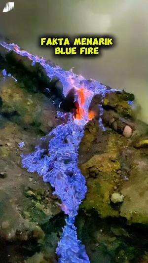 Fakta Menarik Blue Fire #Faktamenarik #fakta #viral 