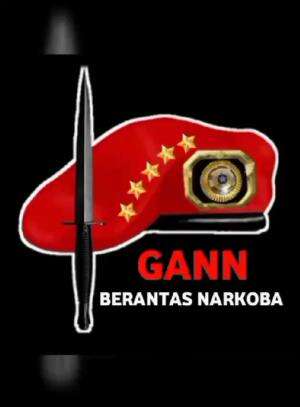 KETUA DPD GANN PROVINSI PAPUA PENGUNUNGAN YANUS WANIMBO, S.E.MEMPROMOSI SELURUHNYA KAMI MEMPERJUANGKAN BERSAMA GERAKAN ANTI NARKOBA NASIONAL